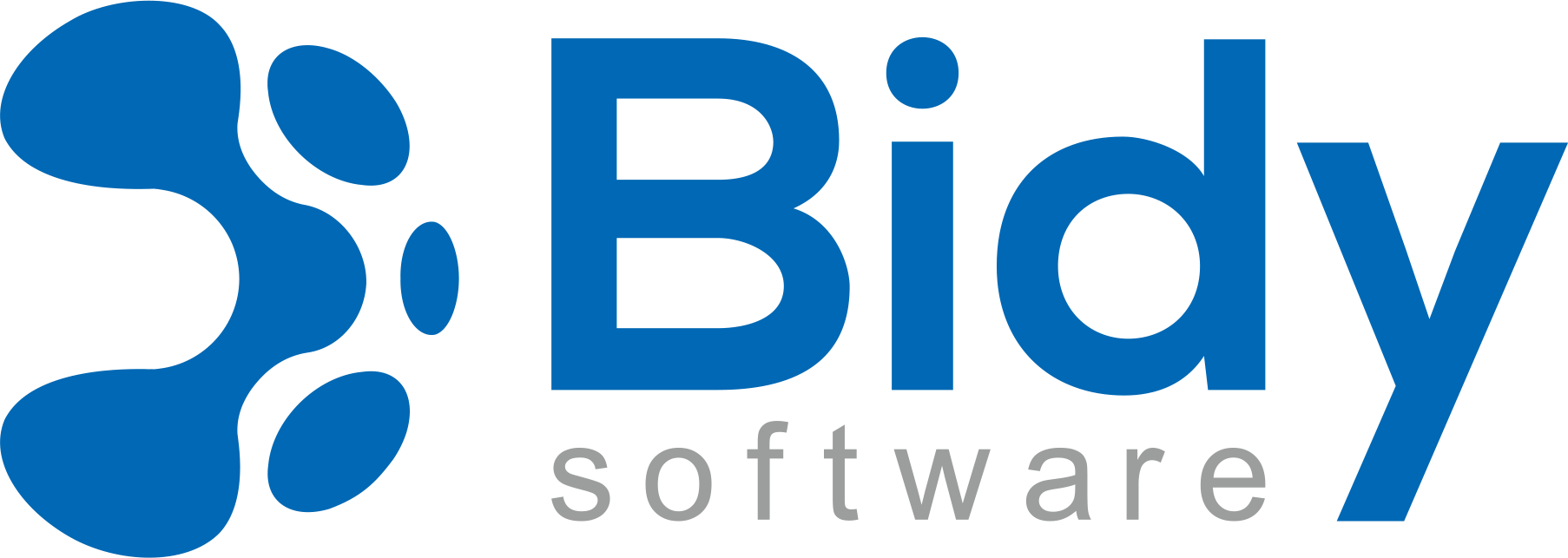 Bidy Software